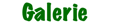  Galerie